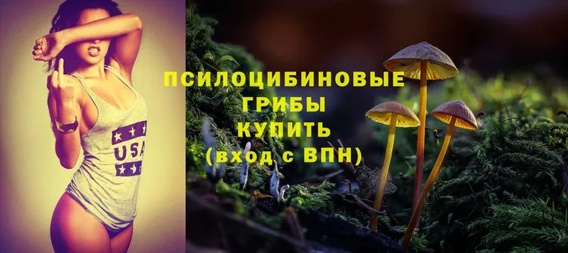 Галлюциногенные грибы Psilocybine cubensis  МЕГА ССЫЛКА  Наволоки 